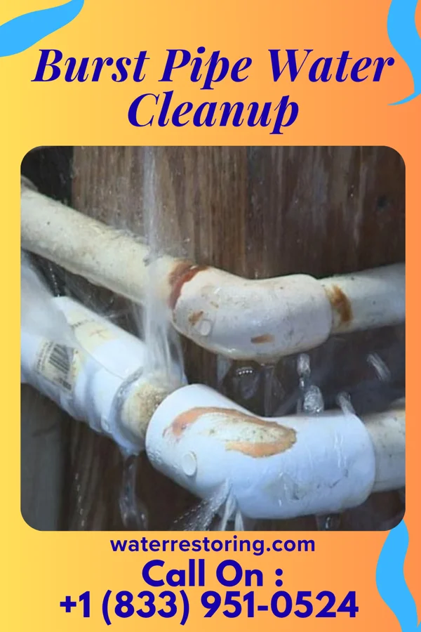 Burst Pipe Water Cleanup in Osmond, WY
