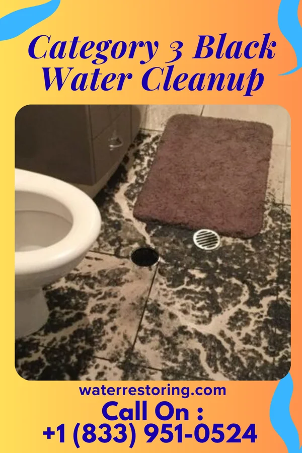 Category 3 Black Water Cleanup in Osmond, WY
