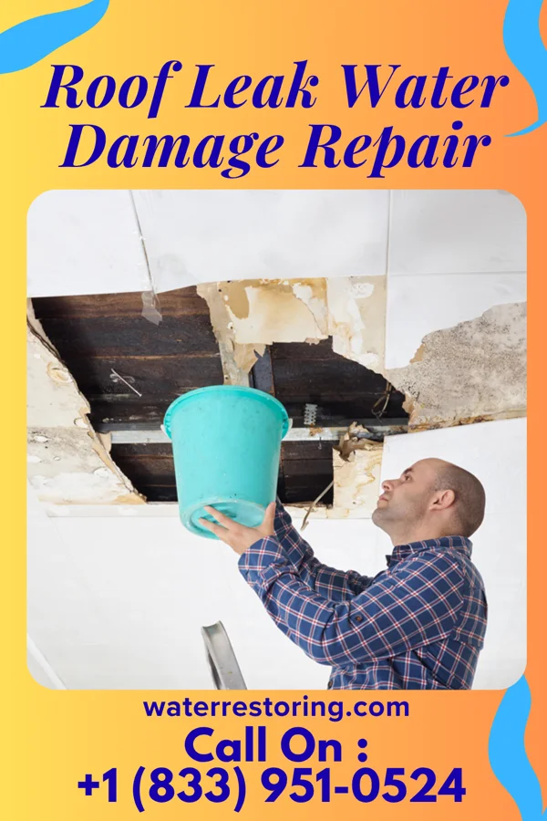 Roof Leak Water Damage Repair in Osmond, WY