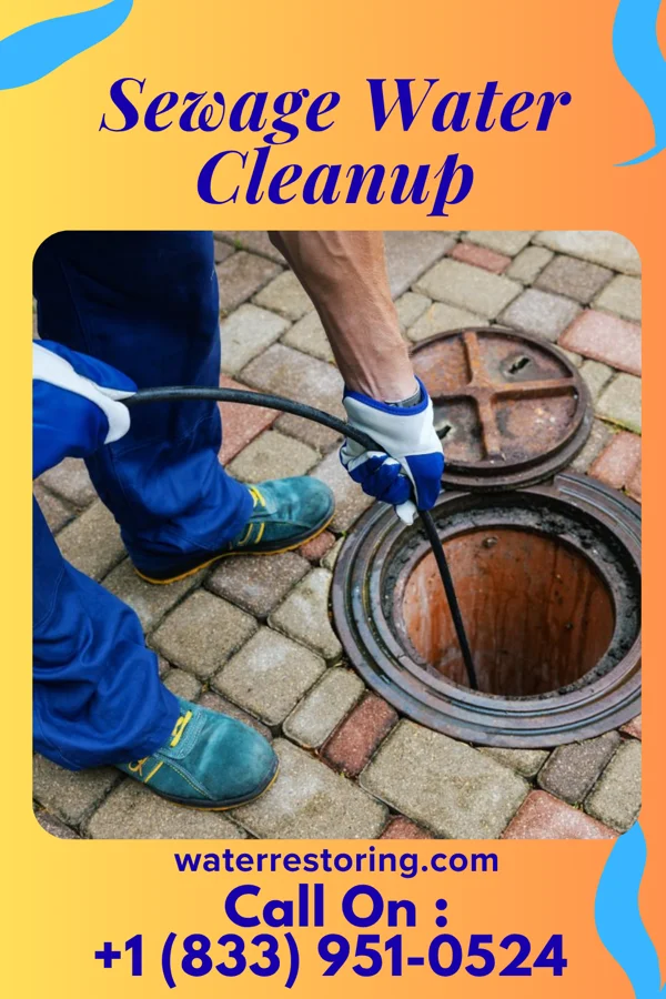 Sewage Water Cleanup in Osmond, WY